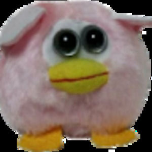 Meet your Posher, Ayrnade